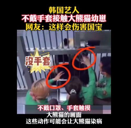 韩综组建女团爆料视频,独家爆料视频深度解析 第2张 韩综组建女团爆料视频,独家爆料视频深度解析 第2张