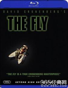 变蝇人在线观看,穿越时空的惊悚之旅 第3张 变蝇人在线观看,穿越时空的惊悚之旅 第3张